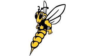 گزارش YellowJackets: UWS سرب Softball UMAC – Duluth News Tribune را حفظ می کند گزارش YellowJackets: UWS سرب Softball UMAC – Duluth News Tribune را حفظ می کند